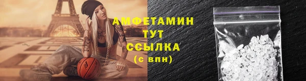 гашик Пестово