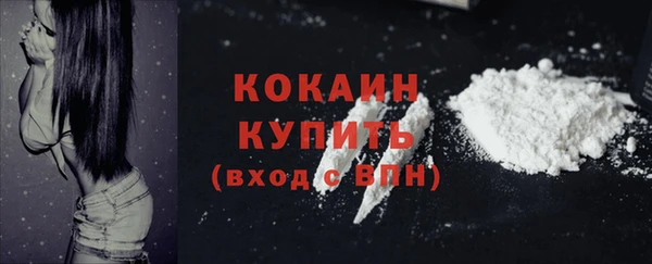 гашик Пестово