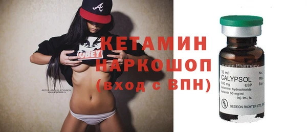 гашик Пестово