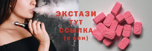 гашик Пестово