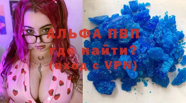гашик Пестово
