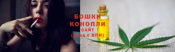 спиды Куртамыш