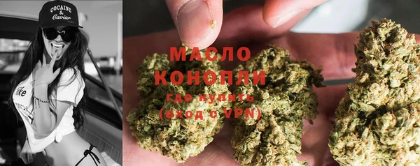 гашик Пестово