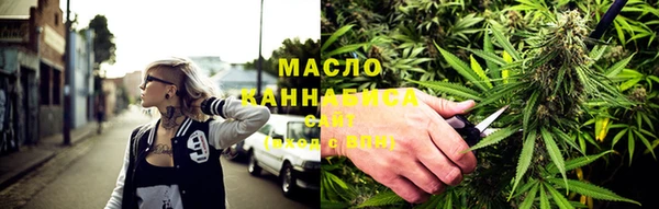 гашик Пестово