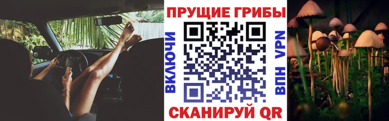 Галлюциногенные грибы прущие грибы  Пущино 