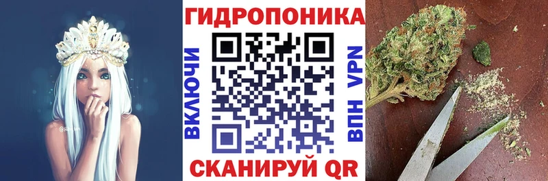 Шишки марихуана VHQ  дарнет шоп  Пущино 